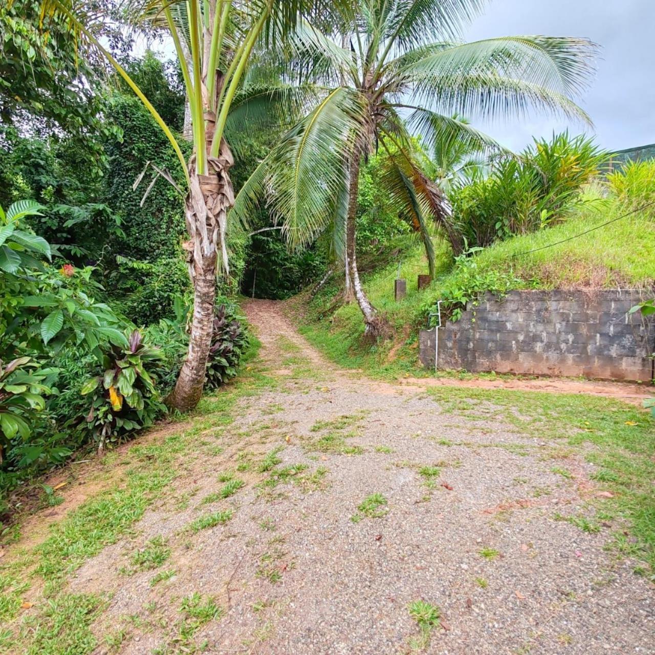 Corcovado Green Cabin Drake Bay Exterior foto