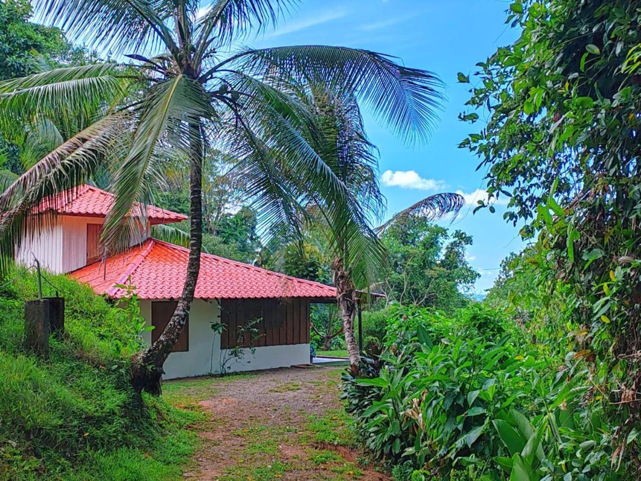 Corcovado Green Cabin Drake Bay Exterior foto