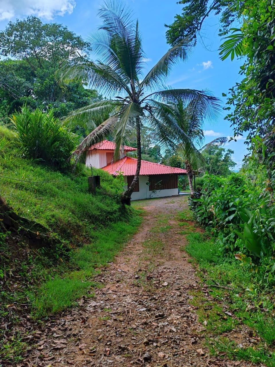 Corcovado Green Cabin Drake Bay Exterior foto